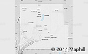 Silver Style Map of Eddy County