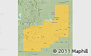 Savanna Style 3D Map of Quay County