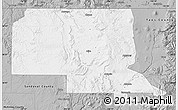 Gray Map of Rio Arriba County