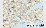 Classic Style Map of ZIP code 10029