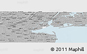 Gray Panoramic Map of ZIP code 10306