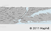 Gray Panoramic Map of ZIP code 10451