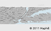 Gray Panoramic Map of ZIP code 10456