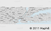 Silver Style Panoramic Map of ZIP code 10456