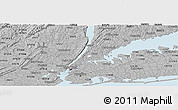 Gray Panoramic Map of ZIP code 10457