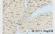 Classic Style Map of ZIP code 10461