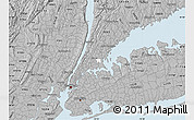 Gray Map of ZIP code 10461