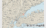 Shaded Relief Map of ZIP code 10461