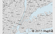 Silver Style Map of ZIP code 10461