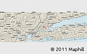 Shaded Relief Panoramic Map of ZIP code 10462
