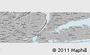Gray Panoramic Map of ZIP code 10463