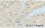 Classic Style 3D Map of ZIP code 10471