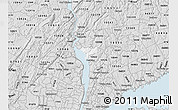 Silver Style Map of ZIP code 10520
