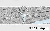 Gray Panoramic Map of ZIP code 10520