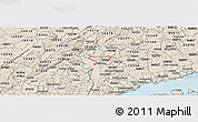 Shaded Relief Panoramic Map of ZIP code 10520