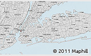 Silver Style 3D Map of ZIP code 11005