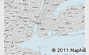 Silver Style Map of ZIP code 11233
