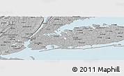 Gray Panoramic Map of ZIP code 11426