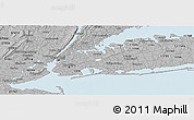 Gray Panoramic Map of ZIP code 11432