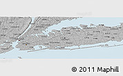 Gray Panoramic Map of ZIP code 11501