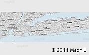 Silver Style Panoramic Map of ZIP code 11501
