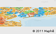 Political Shades Panoramic Map of ZIP codes starting with 116
