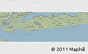 Savanna Style Panoramic Map of ZIP code 11710