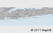 Gray Panoramic Map of ZIP code 11762