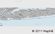 Gray Panoramic Map of ZIP code 11783