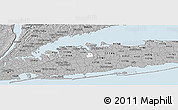Gray Panoramic Map of ZIP code 11797