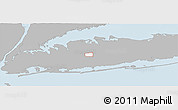 Gray Panoramic Map of ZIP code 11801, single color outside