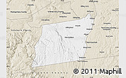 Classic Style Map of Albany County