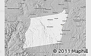 Gray Map of Albany County