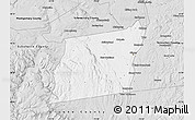 Silver Style Map of Albany County