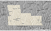 Shaded Relief 3D Map of Broome County, darken, desaturated