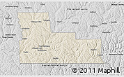 Shaded Relief 3D Map of Broome County, desaturated