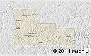 Shaded Relief 3D Map of Broome County, lighten, desaturated