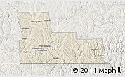 Shaded Relief 3D Map of Broome County, lighten