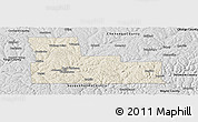 Shaded Relief Panoramic Map of Broome County, desaturated