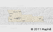 Shaded Relief Panoramic Map of Broome County, lighten, desaturated