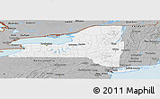 Gray Panoramic Map of New York