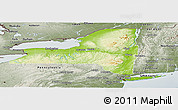 Physical Panoramic Map of New York, semi-desaturated