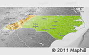 Physical 3D Map of North Carolina, desaturated