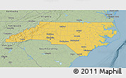 Savanna Style 3D Map of North Carolina