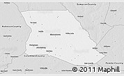 Silver Style 3D Map of Bladen County