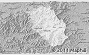 Gray 3D Map of Haywood County
