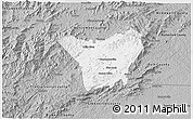 Gray 3D Map of Henderson County