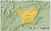 Savanna Style 3D Map of Henderson County