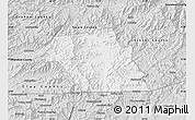 Silver Style Map of Macon County