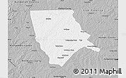 Gray Map of Moore County